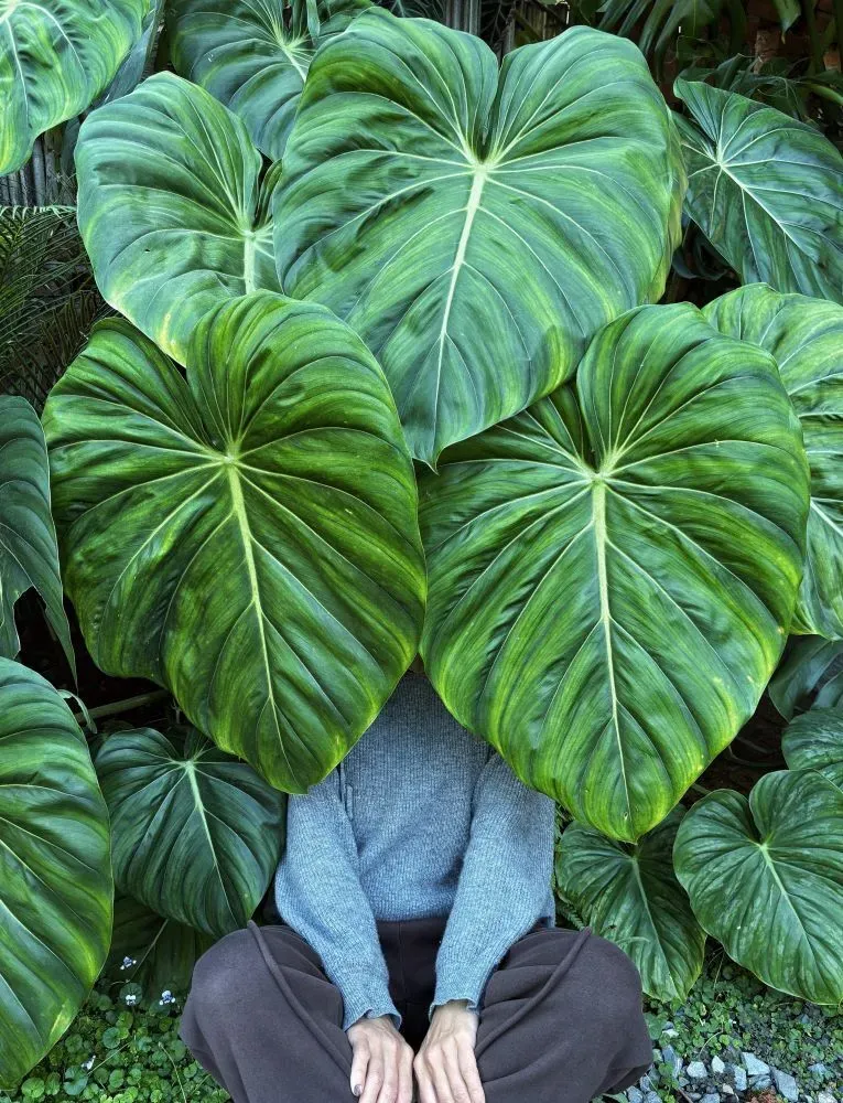 A few of My Plant photos