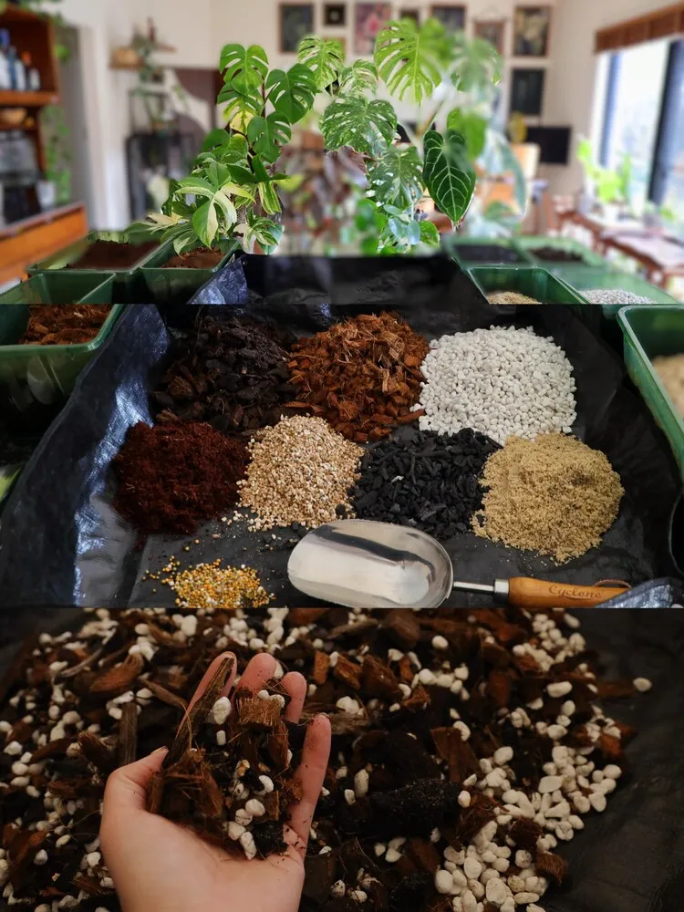 custom philodendron soil mix ingredients with bark coco chips perlite charcoal and blended aroid mix in hand