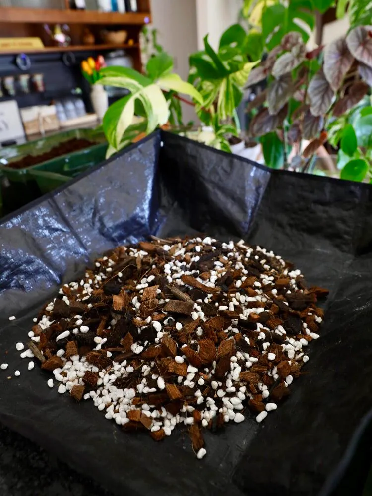 finished chunky philodendron soil mix with bark coco chips and perlite