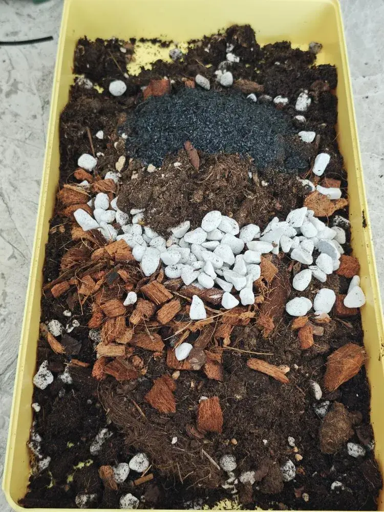 How to Put a Philodendron on a Moss Pole (Step-by-Step for Better Growth) 8 philodendron soil mix with bark pumice and organic components prepared in tray