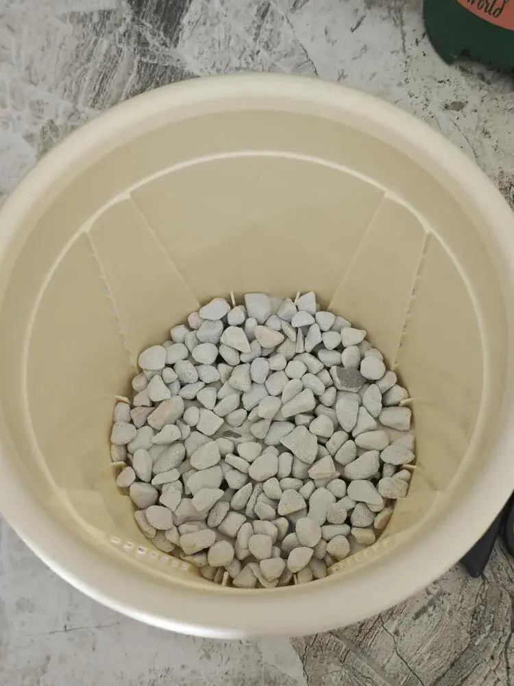 How to Put a Philodendron on a Moss Pole (Step-by-Step for Better Growth) 4 larger plastic pot with pumice drainage layer at the bottom for philodendron repotting