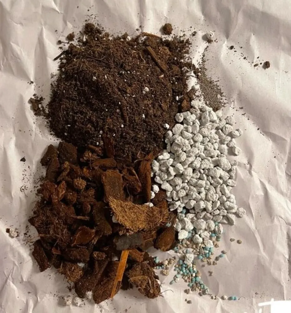 philodendron soil mix ingredients with potting soil orchid bark perlite and slow release fertilizer