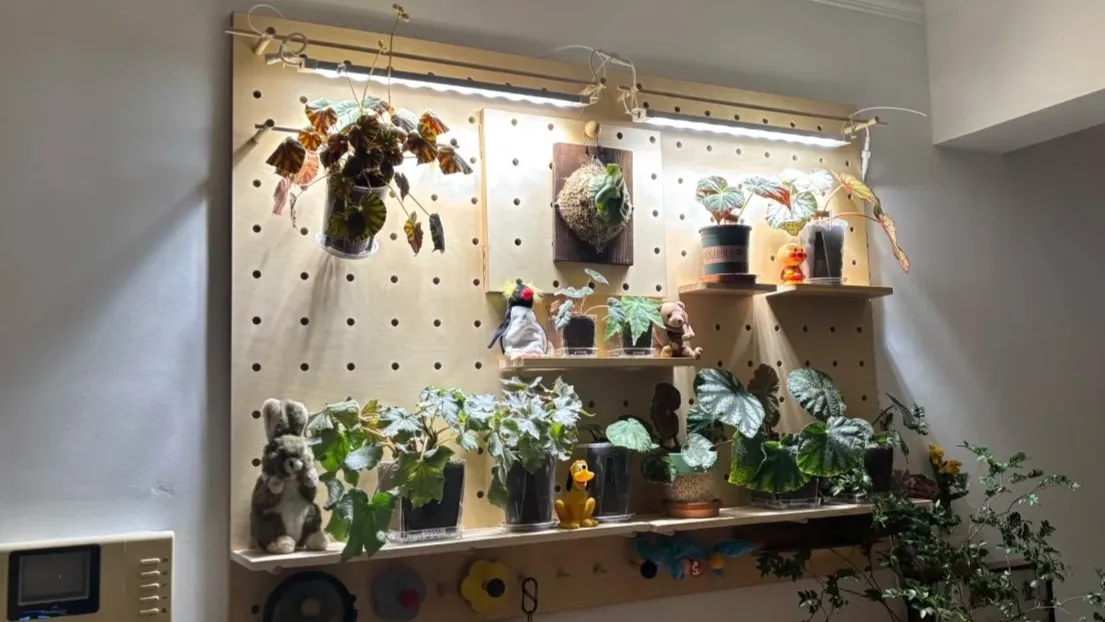 Do Philodendrons Need a Grow Light Indoors What I’ve Found at Home Do Philodendrons Need a Grow Light Indoors What I’ve Found at Home